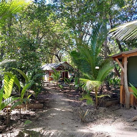 Fully Furnished Family Jungle Tent, Latino Glamping Paquera Ngoại thất bức ảnh