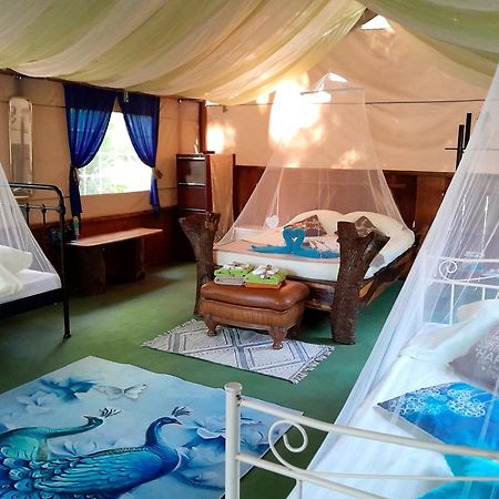 Fully Furnished Family Jungle Tent, Latino Glamping Paquera Hotel Ngoại thất bức ảnh