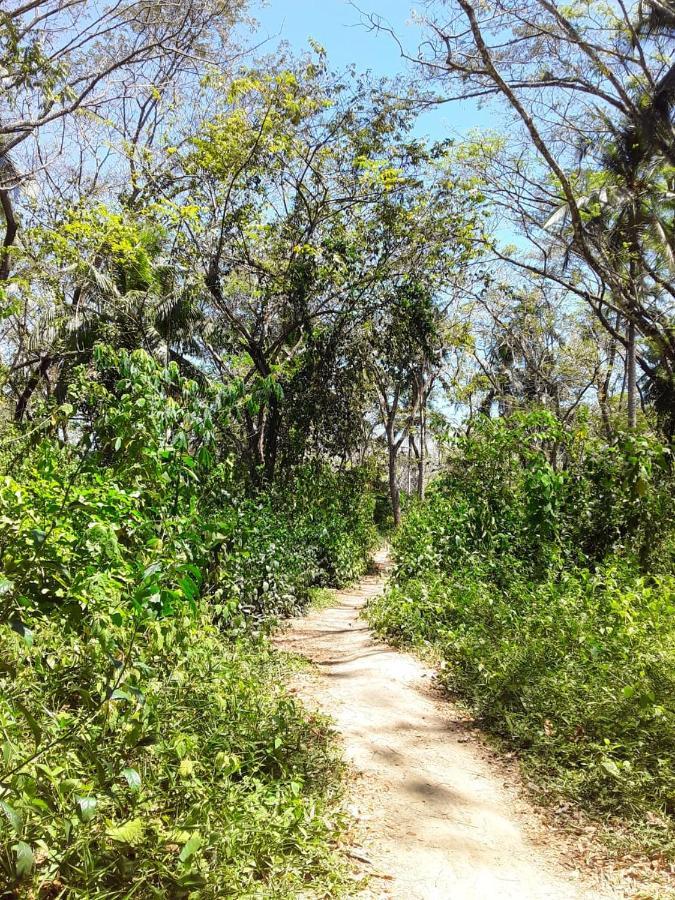 Fully Furnished Family Jungle Tent, Latino Glamping Paquera Ngoại thất bức ảnh