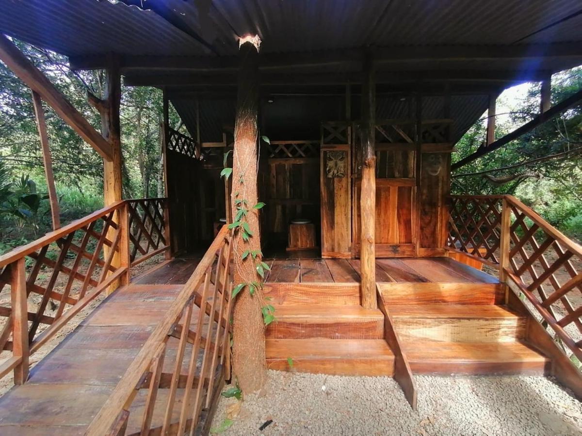 Fully Furnished Family Jungle Tent, Latino Glamping Paquera Hotel Ngoại thất bức ảnh