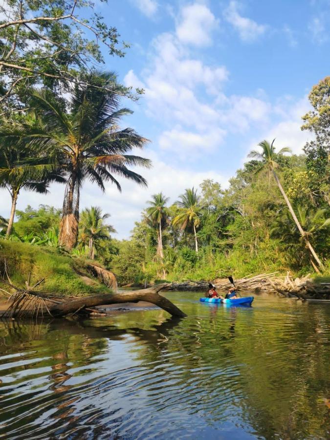 Fully Furnished Family Jungle Tent, Latino Glamping Paquera Ngoại thất bức ảnh