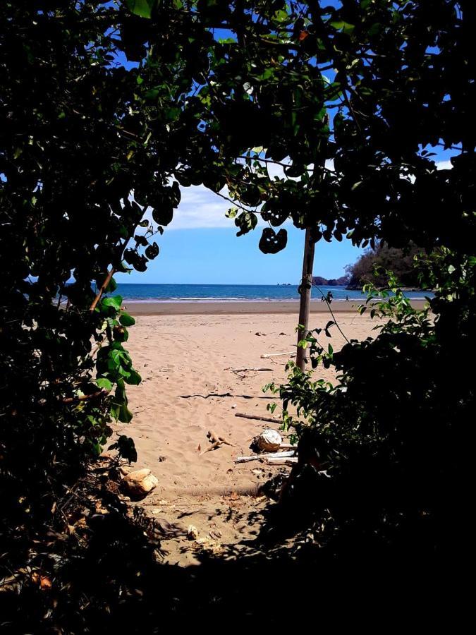 Fully Furnished Family Jungle Tent, Latino Glamping Paquera Ngoại thất bức ảnh