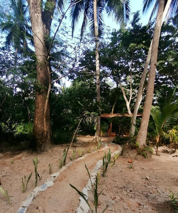 Fully Furnished Family Jungle Tent, Latino Glamping Paquera Ngoại thất bức ảnh