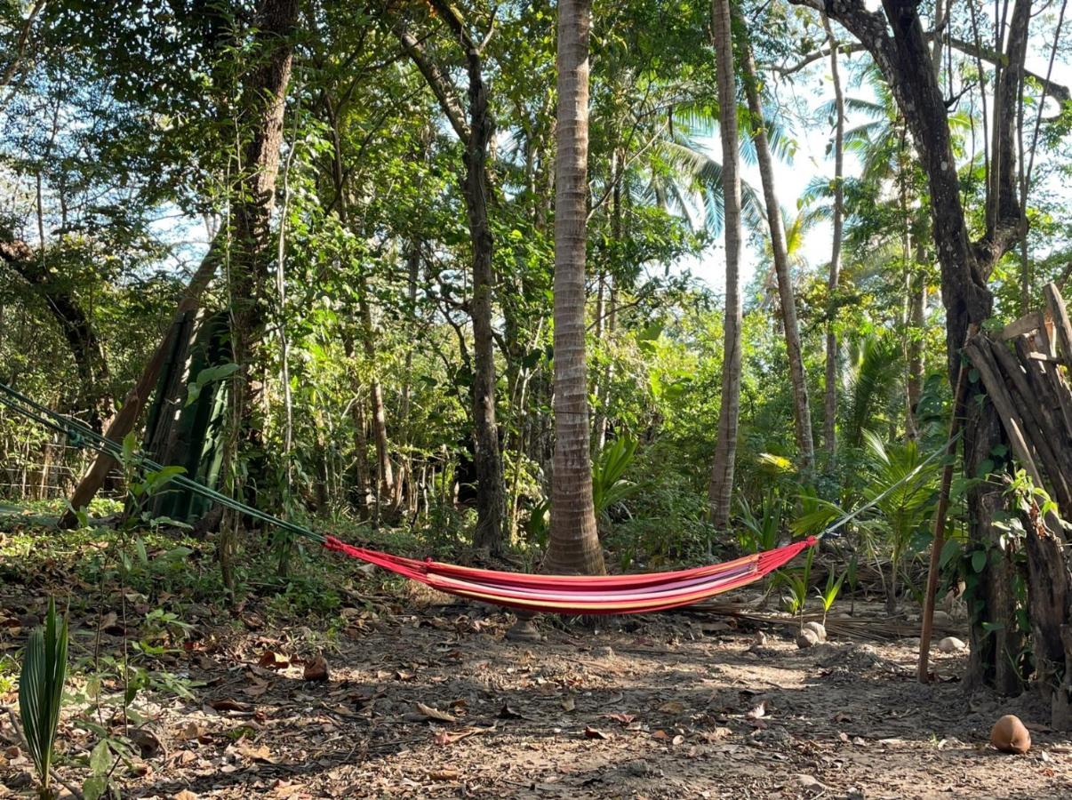 Fully Furnished Family Jungle Tent, Latino Glamping Paquera Ngoại thất bức ảnh