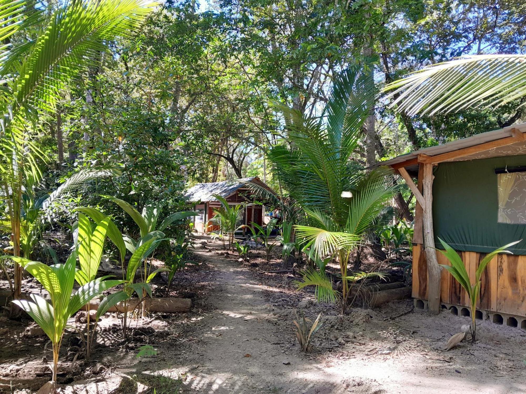 Fully Furnished Family Jungle Tent, Latino Glamping Paquera Ngoại thất bức ảnh
