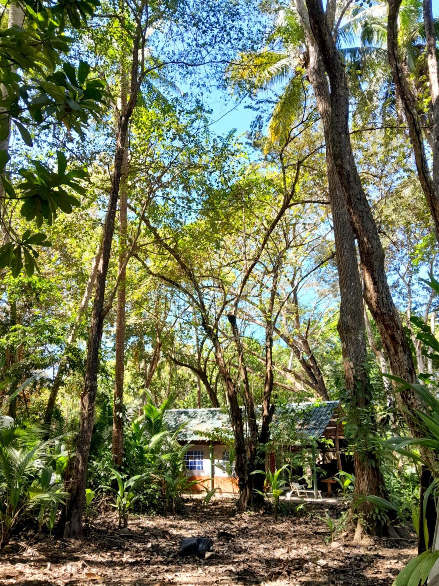 Fully Furnished Family Jungle Tent, Latino Glamping Paquera Ngoại thất bức ảnh