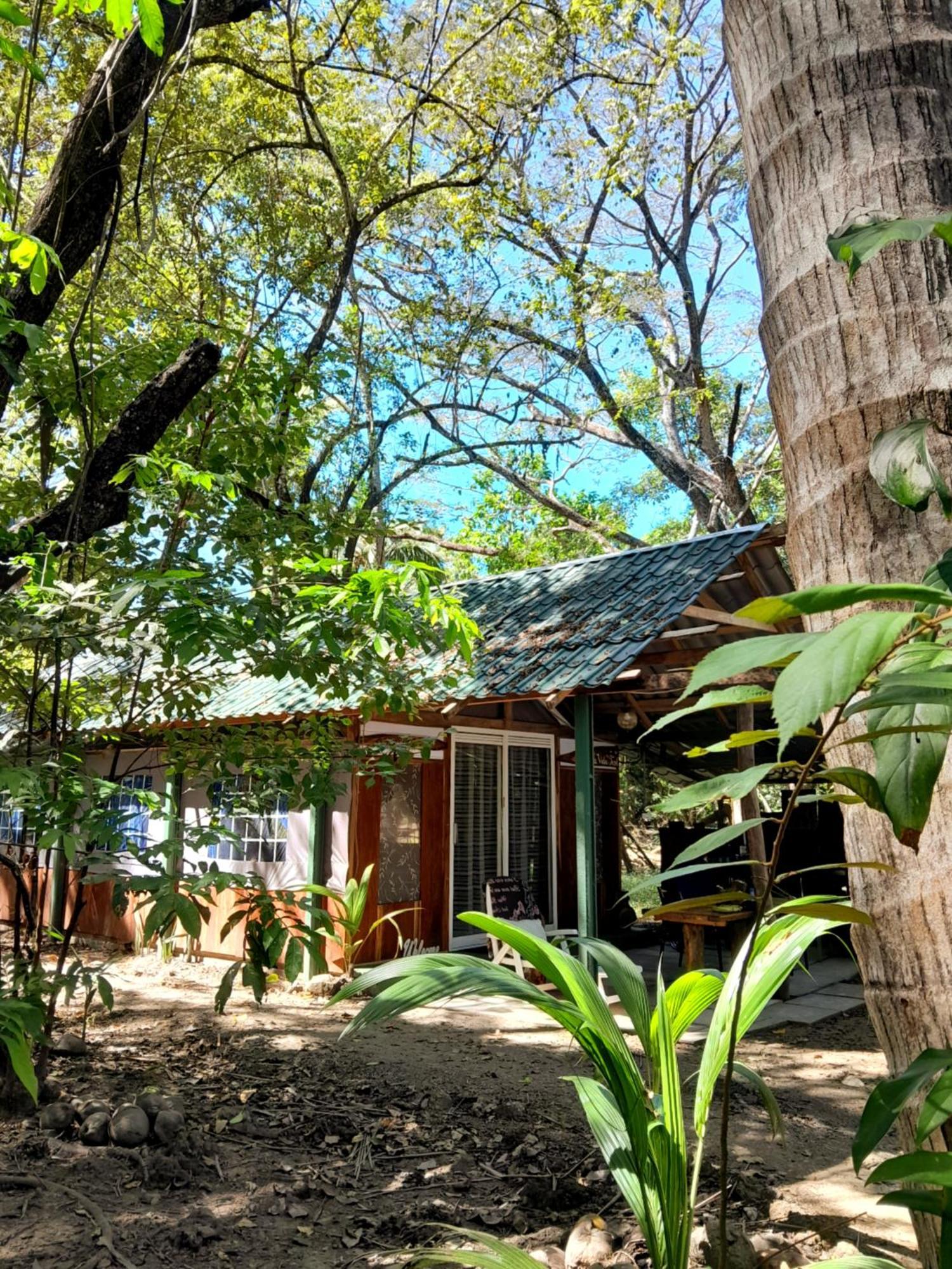 Fully Furnished Family Jungle Tent, Latino Glamping Paquera Ngoại thất bức ảnh