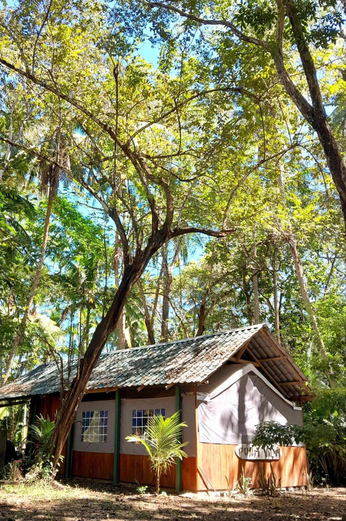 Fully Furnished Family Jungle Tent, Latino Glamping Paquera Ngoại thất bức ảnh
