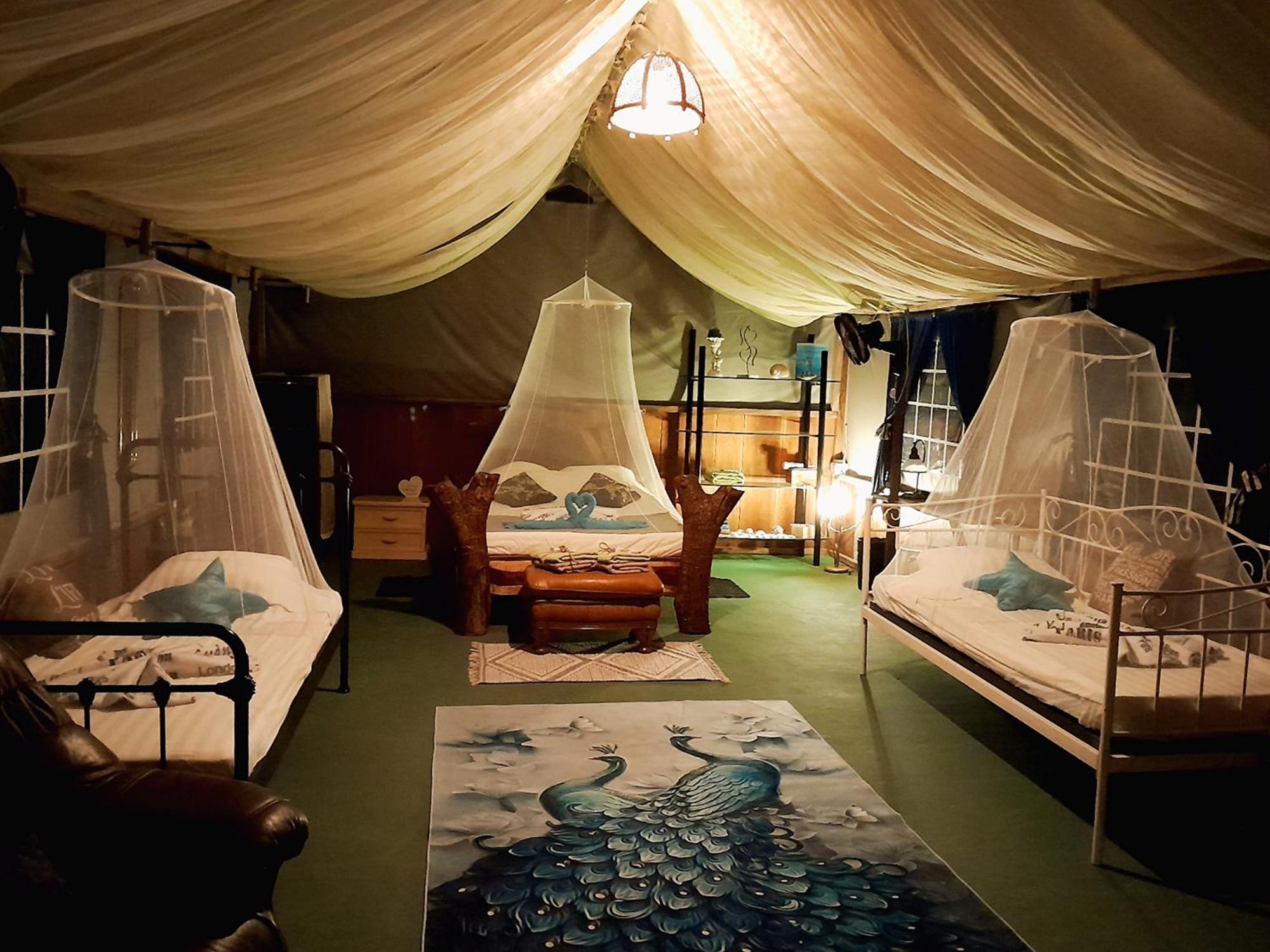 Fully Furnished Family Jungle Tent, Latino Glamping Paquera Ngoại thất bức ảnh
