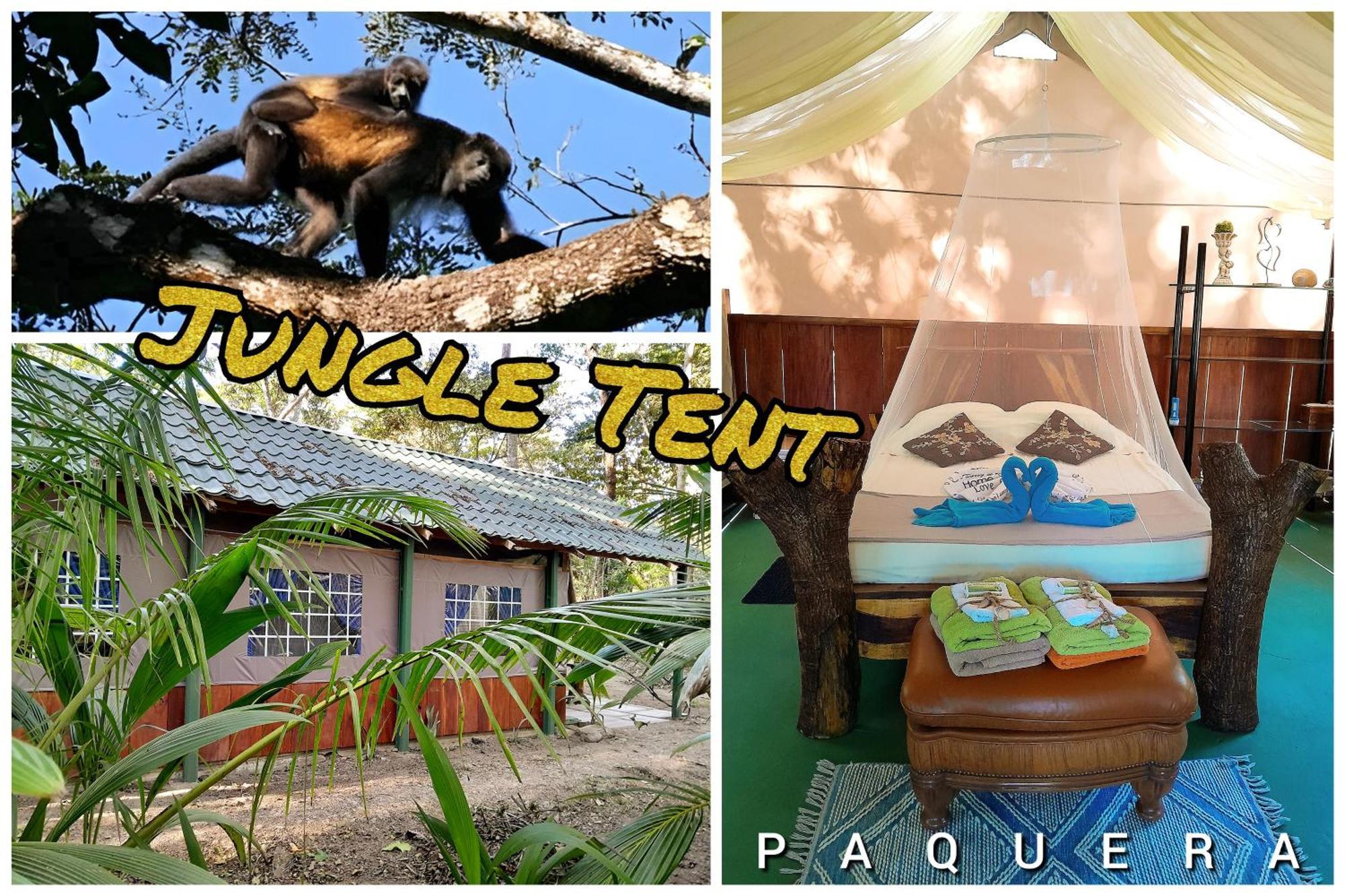 Fully Furnished Family Jungle Tent, Latino Glamping Paquera Hotel Ngoại thất bức ảnh