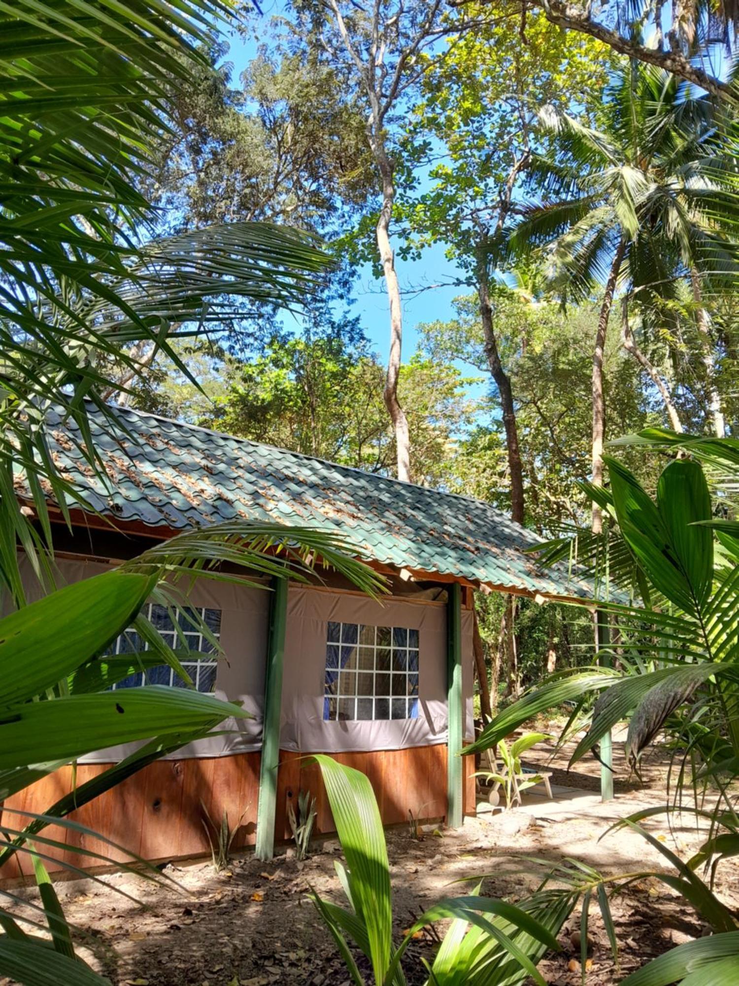 Fully Furnished Family Jungle Tent, Latino Glamping Paquera Hotel Ngoại thất bức ảnh