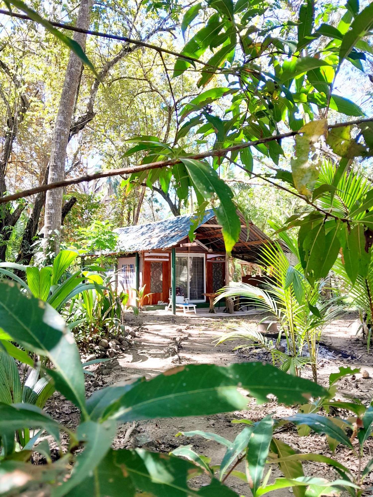 Fully Furnished Family Jungle Tent, Latino Glamping Paquera Hotel Ngoại thất bức ảnh