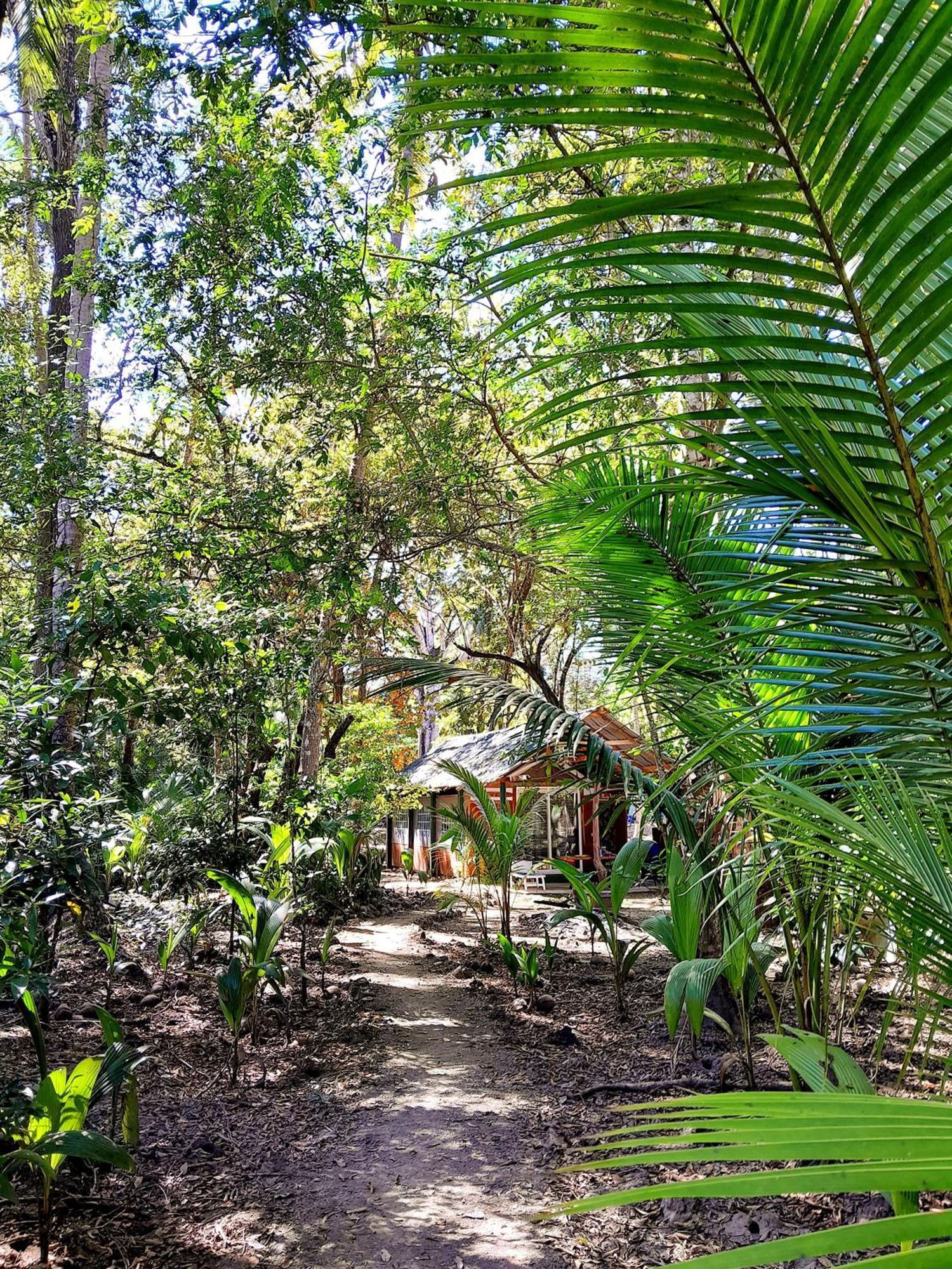 Fully Furnished Family Jungle Tent, Latino Glamping Paquera Ngoại thất bức ảnh