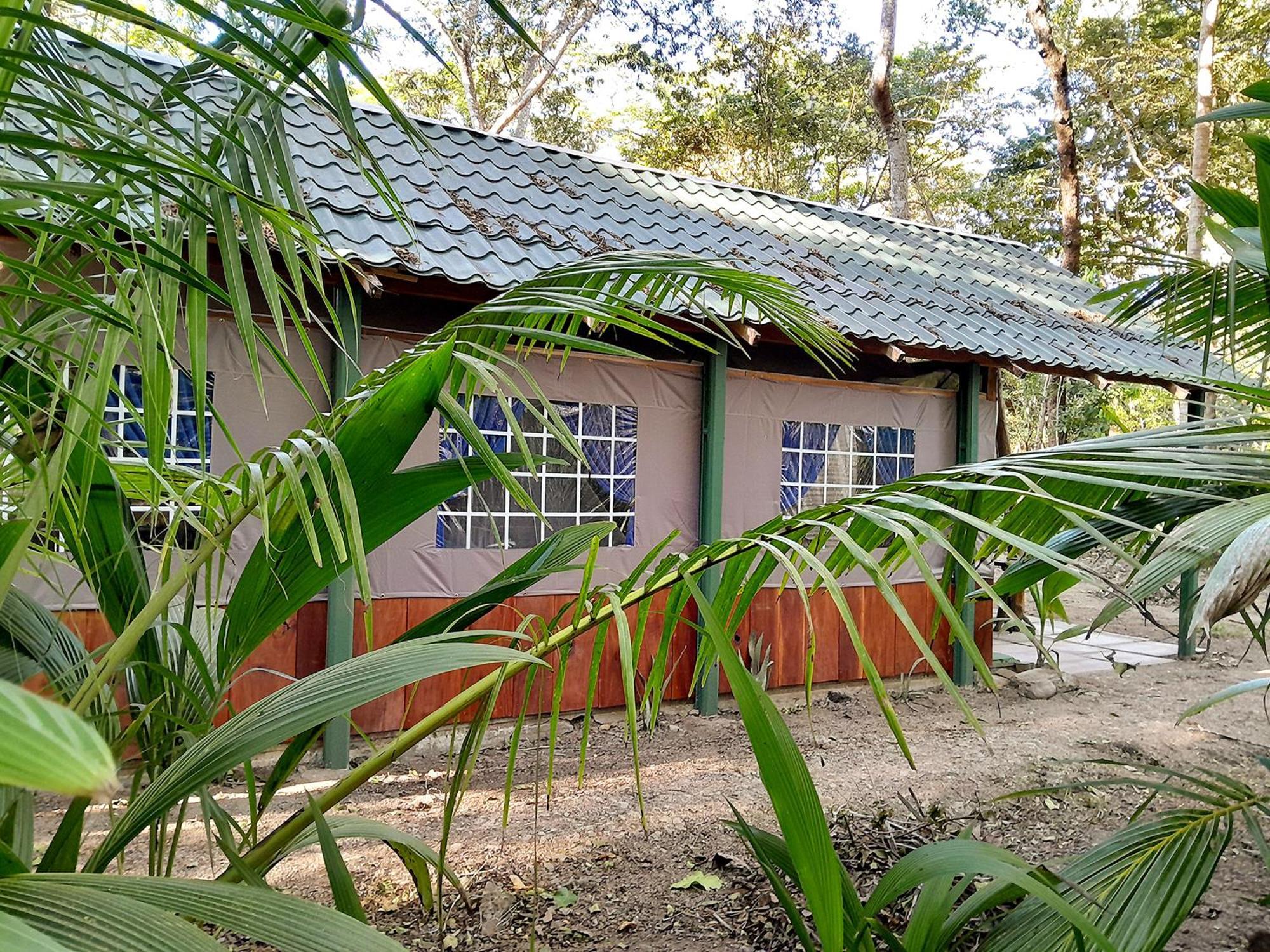 Fully Furnished Family Jungle Tent, Latino Glamping Paquera Ngoại thất bức ảnh