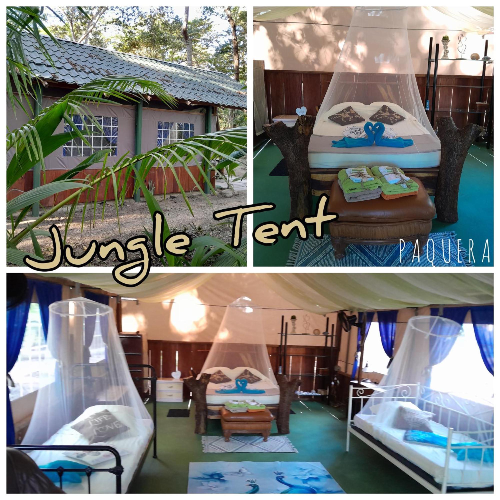 Fully Furnished Family Jungle Tent, Latino Glamping Paquera Hotel Ngoại thất bức ảnh