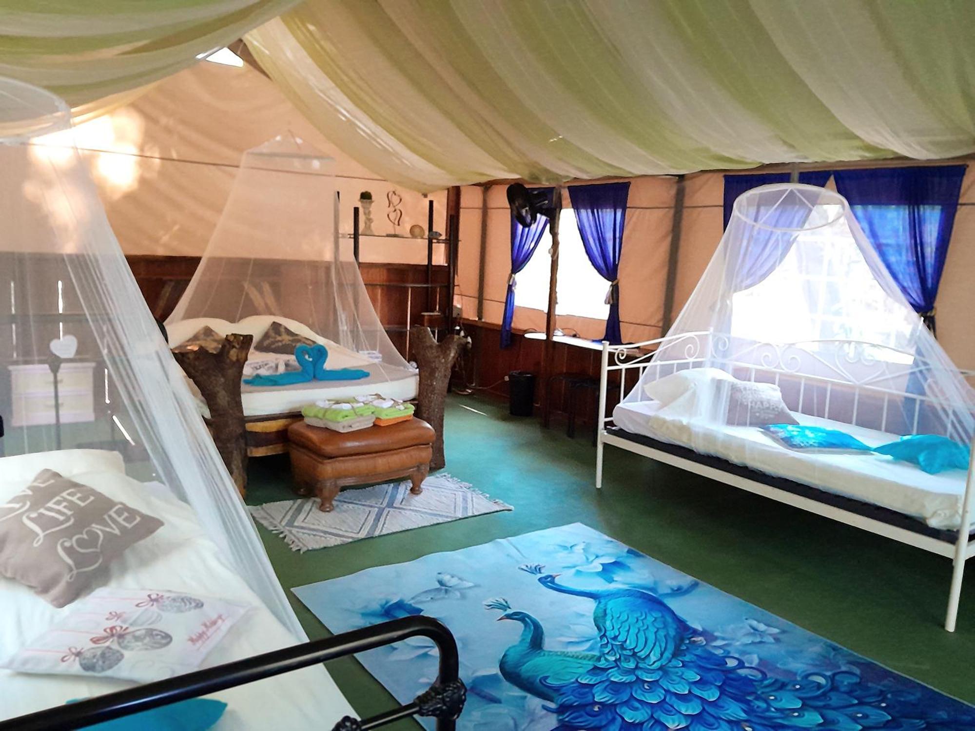 Fully Furnished Family Jungle Tent, Latino Glamping Paquera Ngoại thất bức ảnh