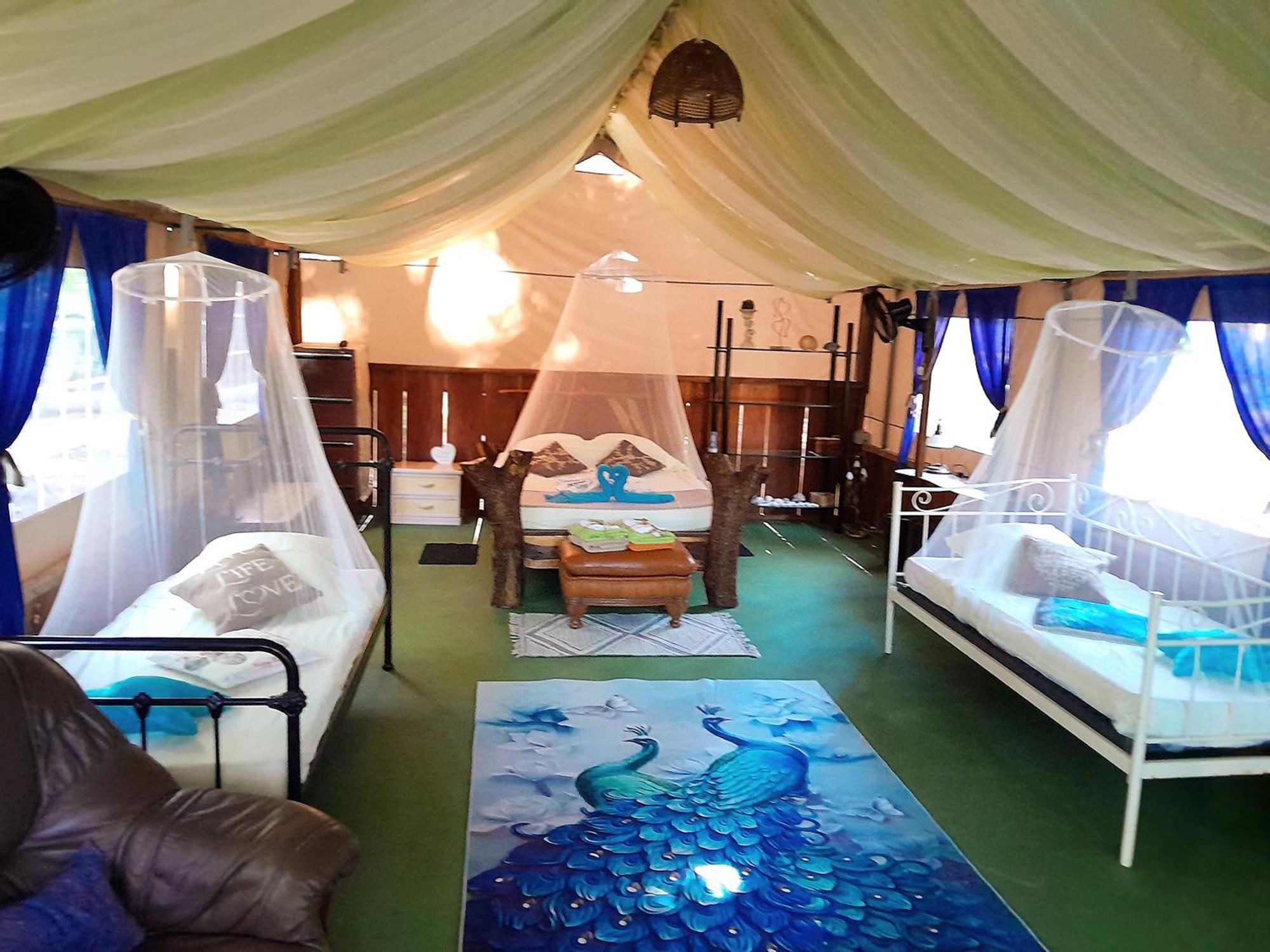 Fully Furnished Family Jungle Tent, Latino Glamping Paquera Hotel Ngoại thất bức ảnh