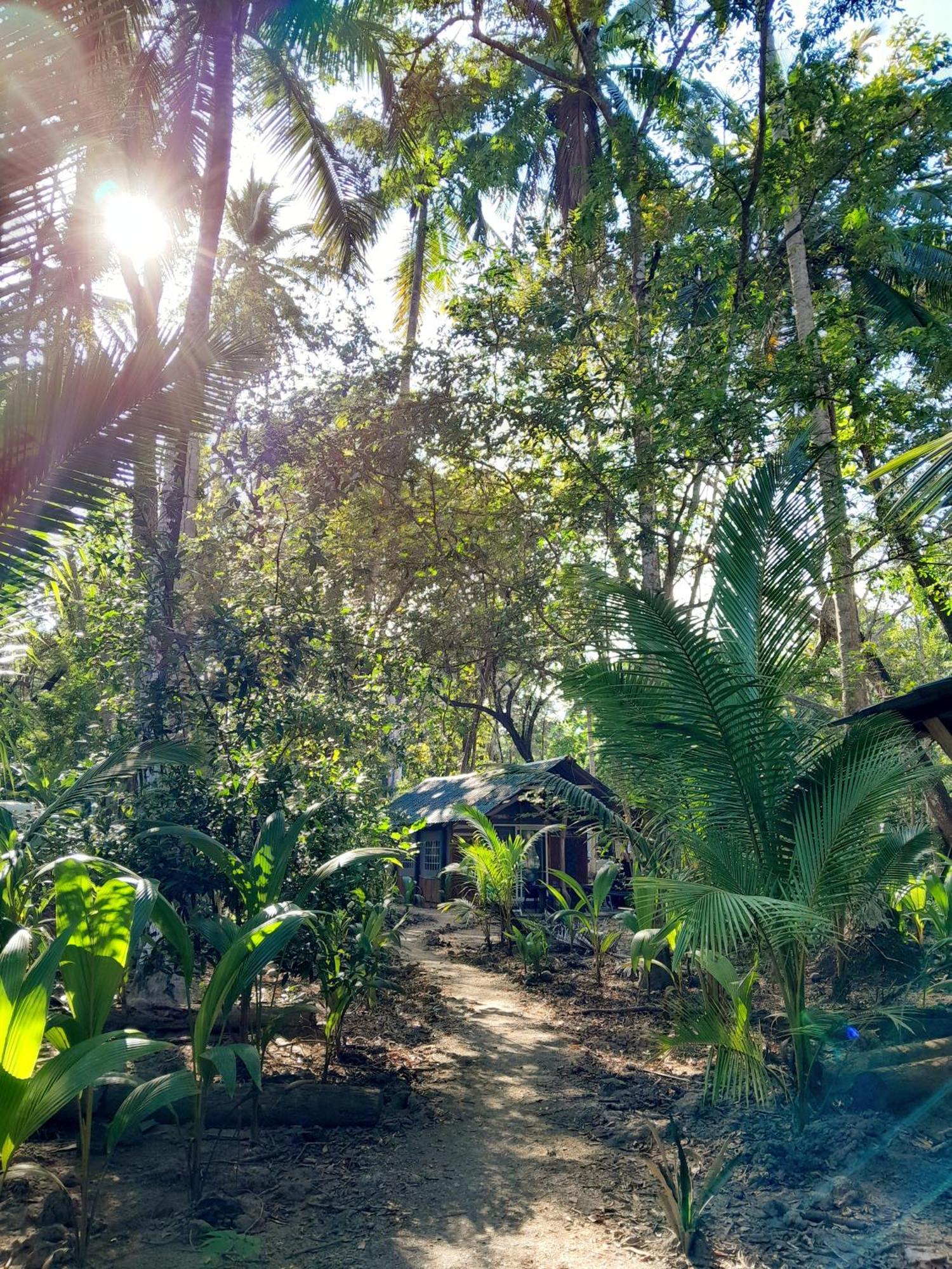 Fully Furnished Family Jungle Tent, Latino Glamping Paquera Hotel Ngoại thất bức ảnh